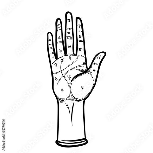 Vintage Hands. Hand drawn sketchy illustration with mystic and occult hand drawn symbols. Palmistry concept. Vector illustration. Spirituality, astrology and esoteric concept.