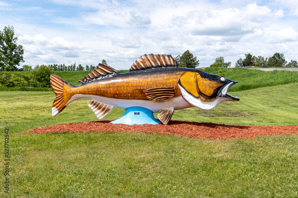 World's Largest Walleye in Rush City, Minnesota. Huge Walleye hooked by