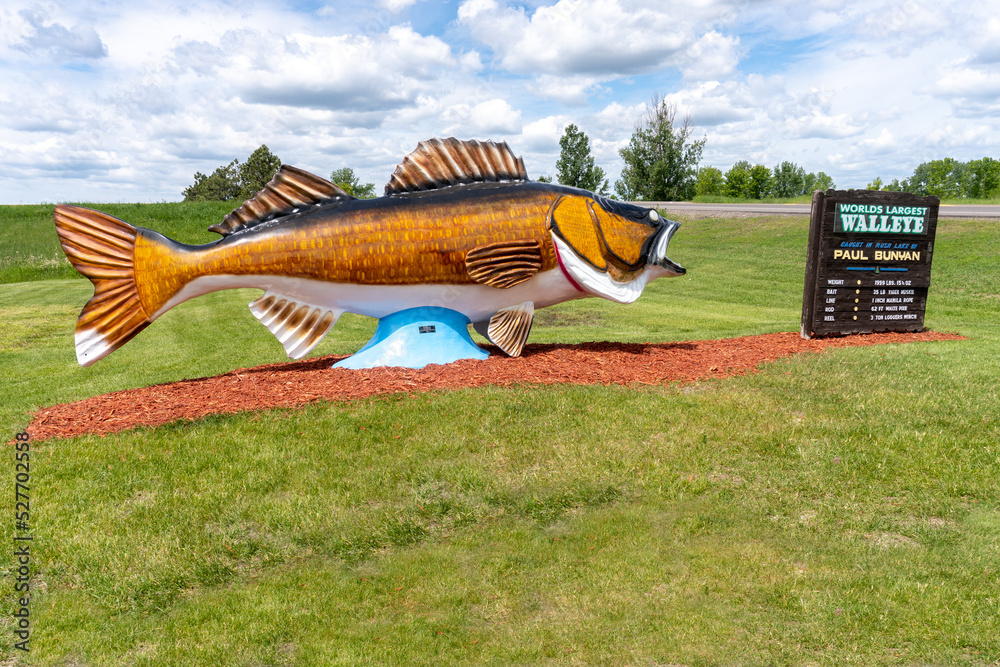 World's Largest Walleye in Rush City, Minnesota. Huge Walleye hooked by