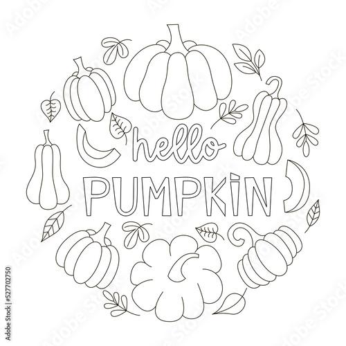 Coloring page with pumpkins for children and adults. Black and white linear vector illustration with leaves and pumpkins. Hello pumpkin. Expanded stroke
