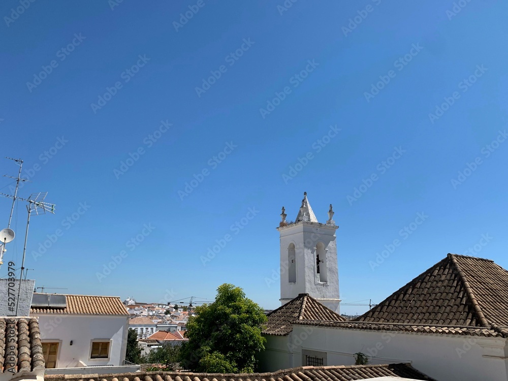 White storks on a local church in Faro, Portugal