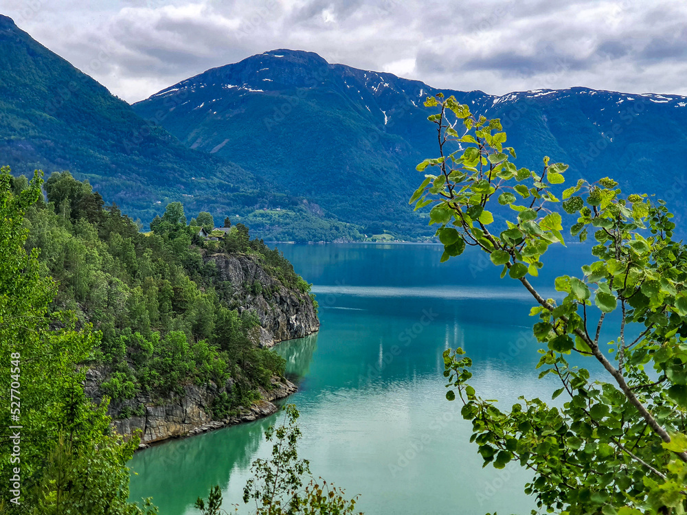 Norwegian riviera landscape with turquoise sea and lively vegetation.