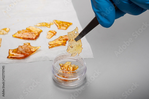 Fotografie scientific study of cannabis terpenes, pure thc wax in hand