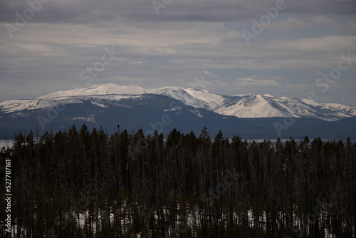 snow covered mountains