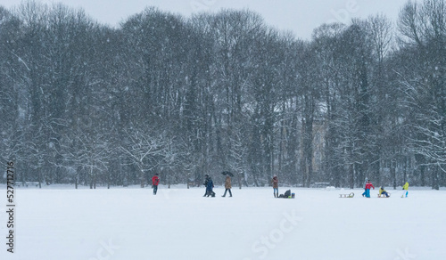 People Playing in the Snow