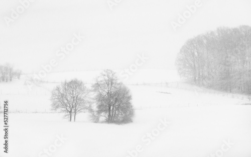 Snowstorm Covered Field with Trees and Hills