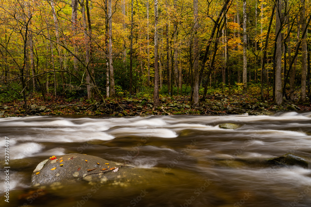 Large Rock Sits Just Above the Water in Little Pigeon River in Fall Large Rock Sits Just Above the Water in Little Pigeon River in Fall