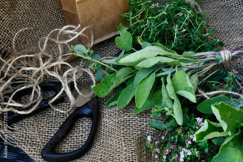 An image of several freshly picked bunches of organically grown herbs used for cooking and herbal medicine. 