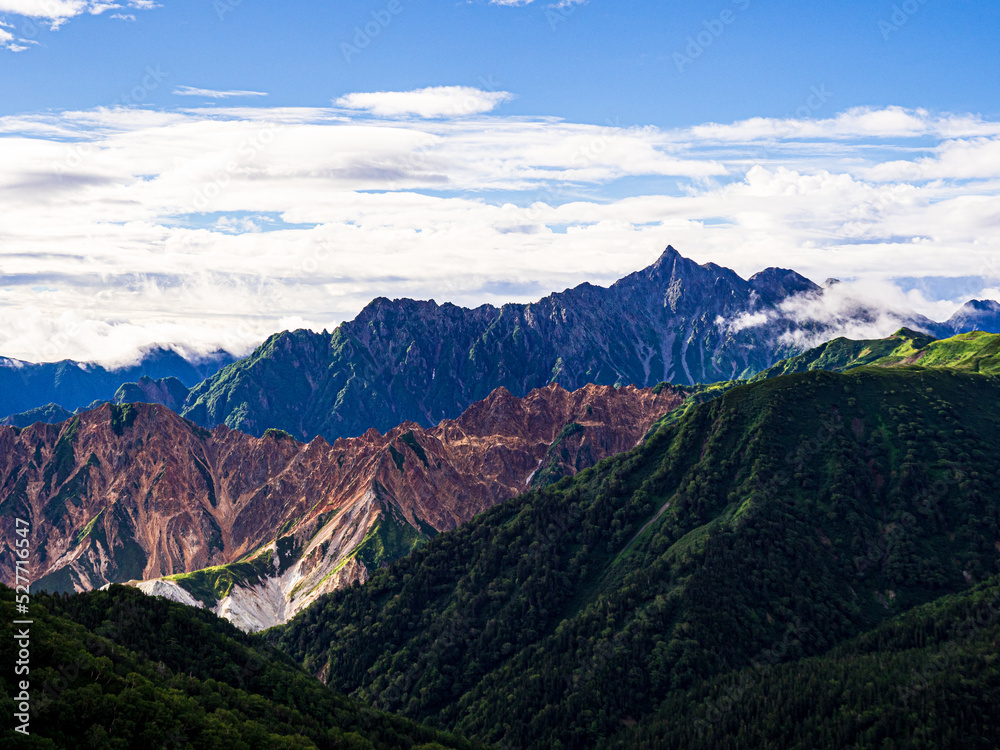 Obraz premium OLYMPUS DIGITAL CAMERA