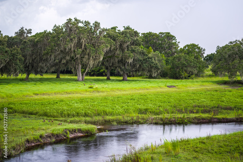 Florida Landscapes
