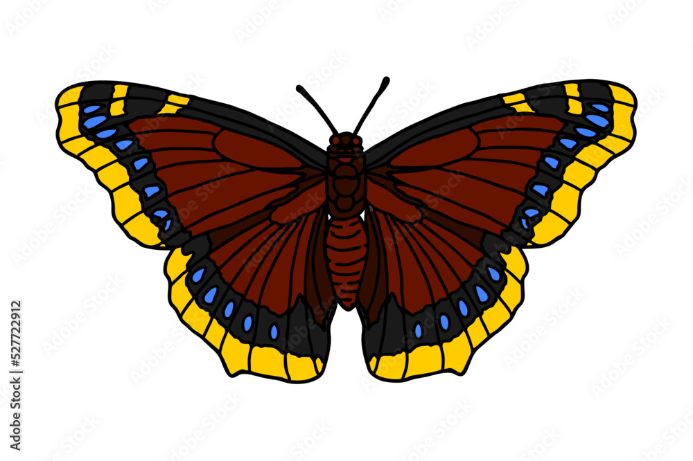Fototapeta premium beautiful butterfly vector