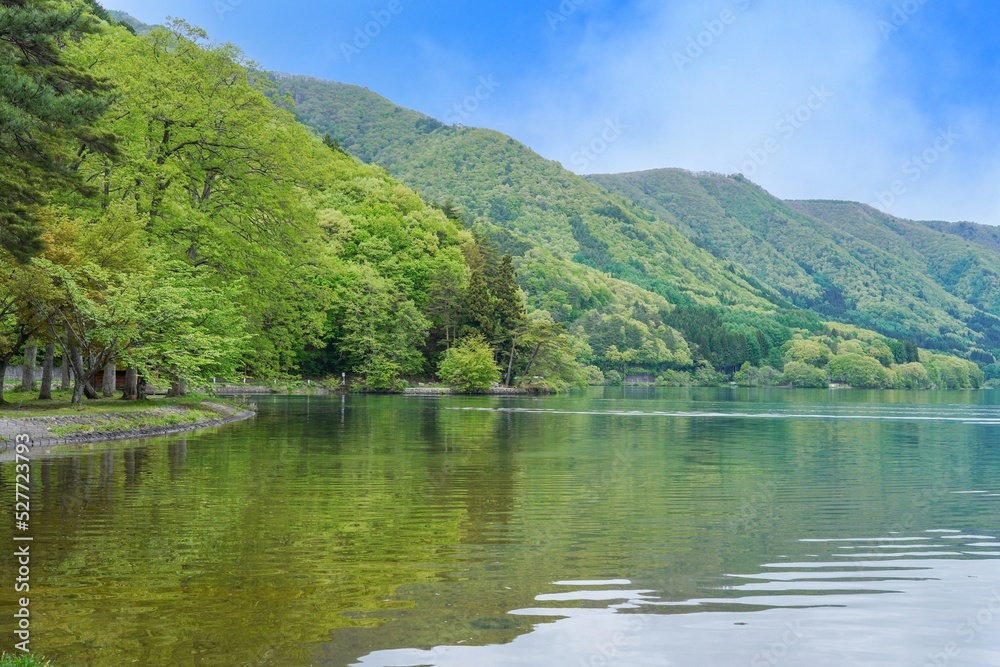 新緑に包まれた木崎湖の情景＠仁科三湖、長野