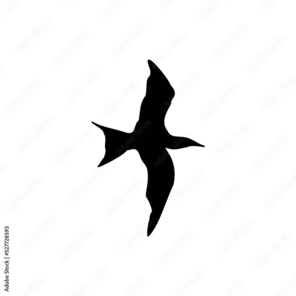 silhouette of a bird silhouette of a bird