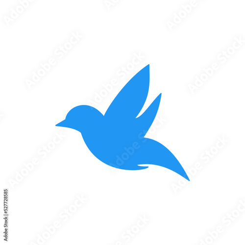 dove of bird fly