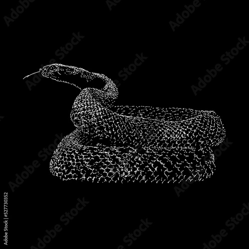 Inland Taipan Snake hand drawing vector illustration isolated on black background