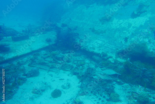 Japanese navy airplane Emily seaplane in WW2 Chuuk (Truk lagoon), Federated States of Micronesia (FSM). Here is the world's greatest wreck diving destination. © Optimistic Fish