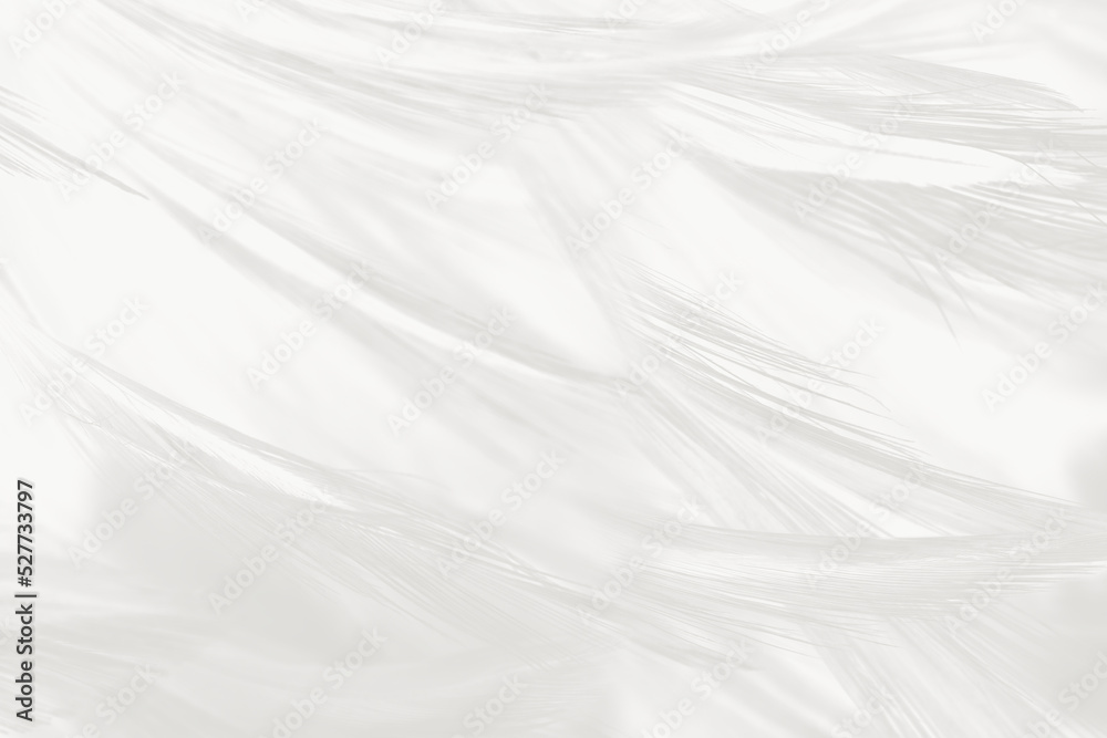 white gray feather wooly pattern texture background