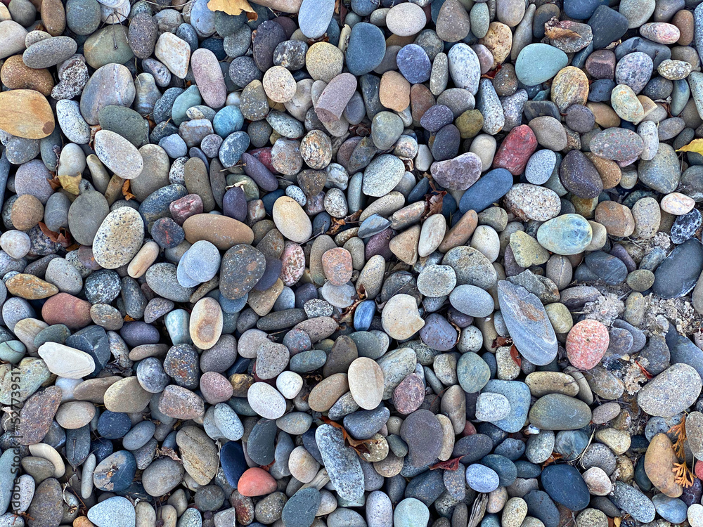 ocean shoreline pebble beach stone rock garden yard path walkway sea rocks ocean shoreline pebble beach stone rock garden yard path walkway sea rocks