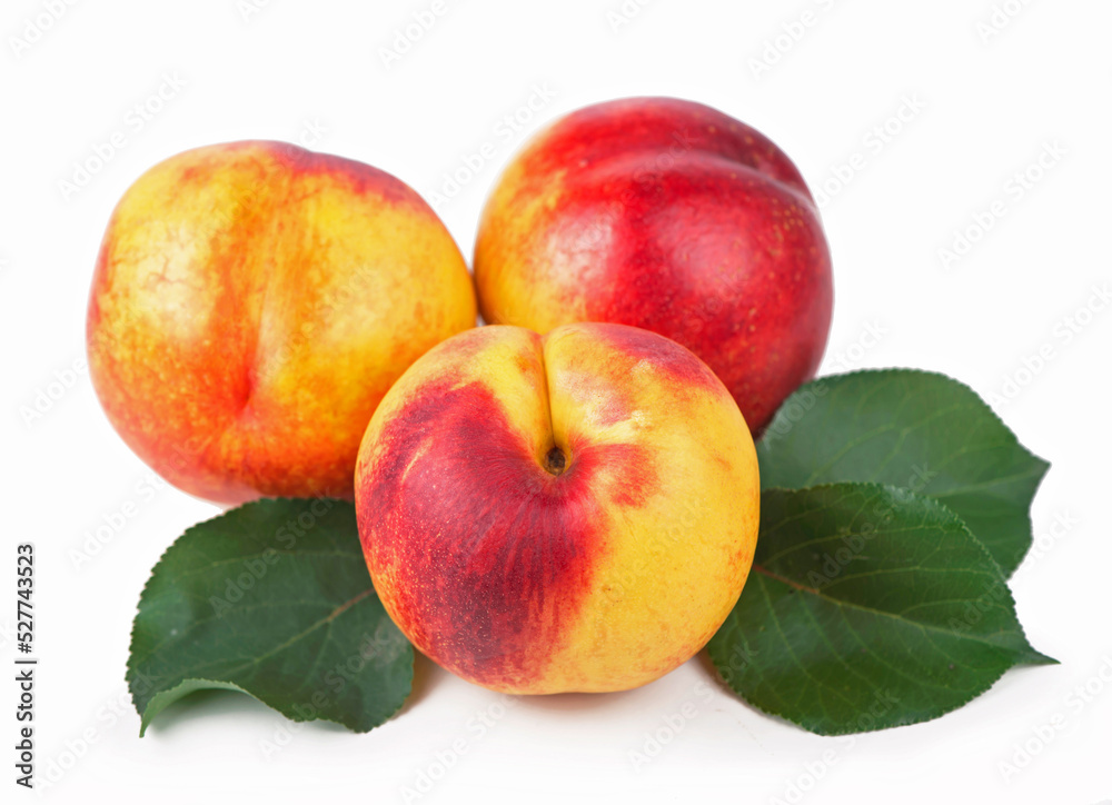 fresh nectarines with leaves isolated on white background fresh nectarines with leaves isolated on white background