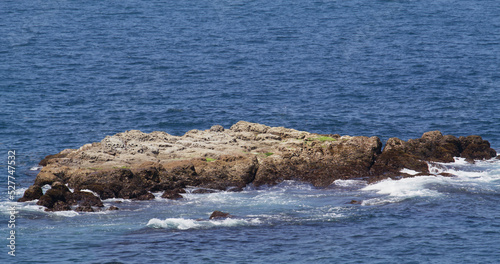 Skerry small rocky island over the sea photo
