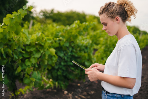 A young woman worker using a computer tablet while standing among the vineyards. Copy space. Smart farming using modern technologies in agriculture. Using apps