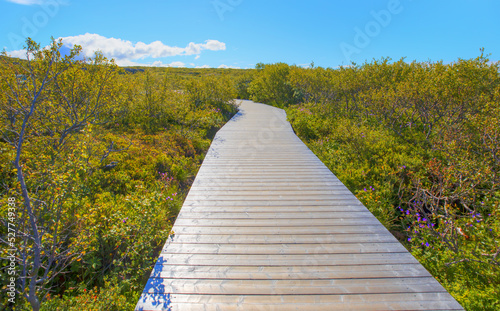 Wooden pier on the plant  Iceland