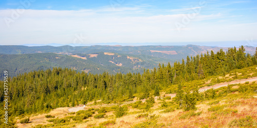 coniferous forest on the hill. apuseni mountains in the distance. sunny autumn weather on a high noon