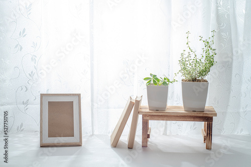 窓際で育てる観葉植物と写真立て
