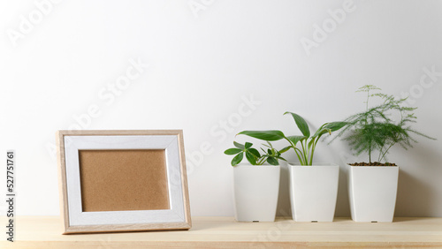 Fototapeta Naklejka Na Ścianę i Meble -  小さな植木鉢に植えた観葉植物と写真立て