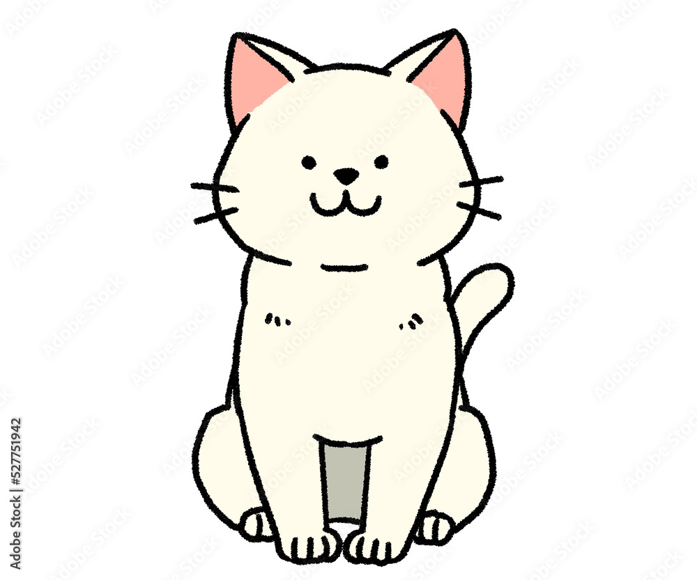 座っている白猫 座っている白猫