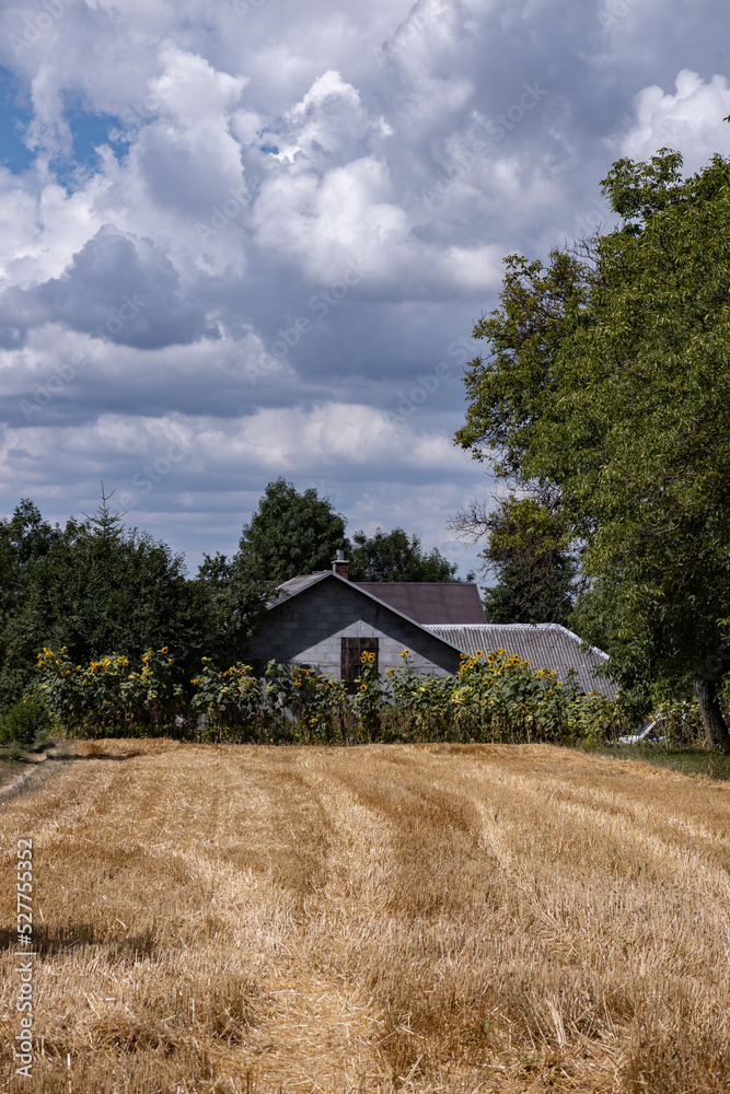 Rural landscapes in the light of sunrise with blue and cloudy sky, country roads and farmer fields, Podkarpackie County, Poland, August, 2022 Rural landscapes in the light of sunrise with blue and cloudy sky, country roads and farmer fields, Podkarpackie County, Poland, August, 2022
