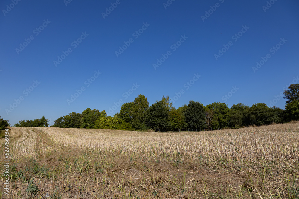 Rural landscapes in the light of sunrise with blue and cloudy sky, country roads and farmer fields, Podkarpackie County, Poland, August, 2022 Rural landscapes in the light of sunrise with blue and cloudy sky, country roads and farmer fields, Podkarpackie County, Poland, August, 2022