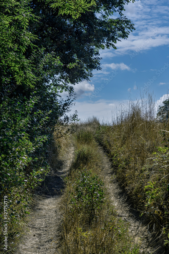 Fototapeta premium Rural landscapes in the light of sunrise with blue and cloudy sky, country roads and farmer fields, Podkarpackie County, Poland, August, 2022