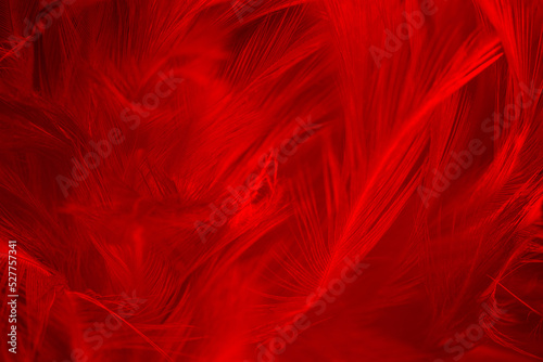 Beautiful dark red feather pattern texture background