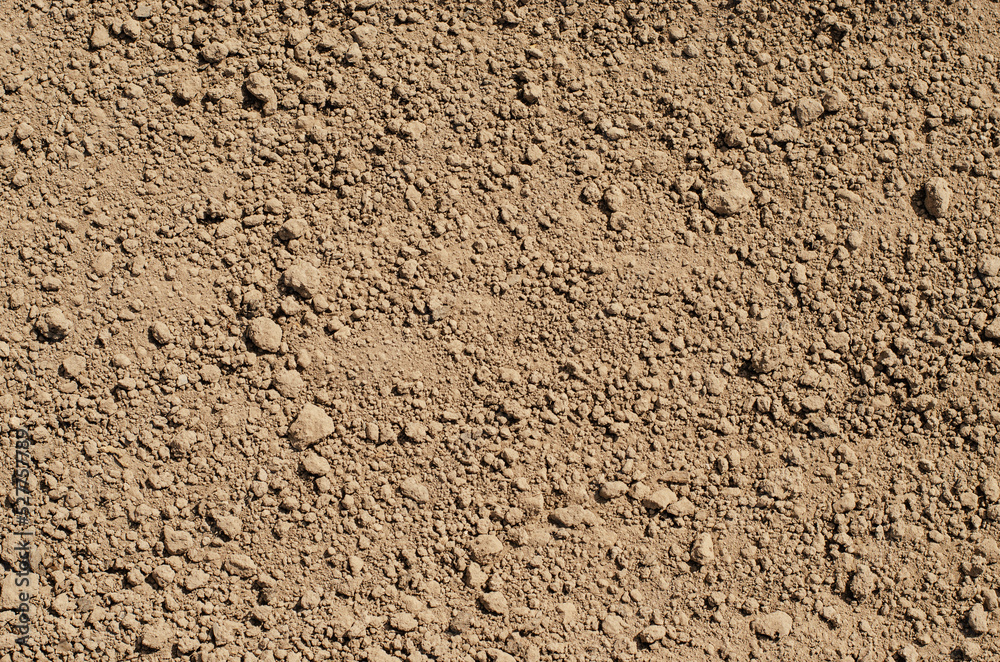 The texture of a fertile brown soil for planting vegetables or berries. Copy space. The texture of a fertile brown soil for planting vegetables or berries. Copy space.