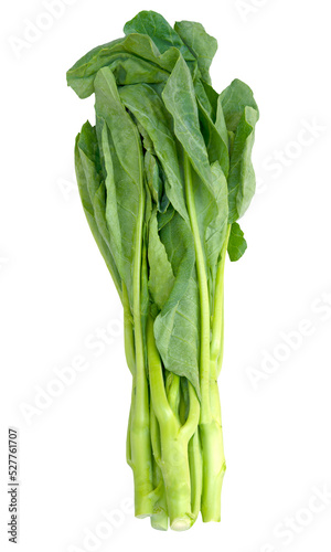 Green kale isolated on a white background with clipping path