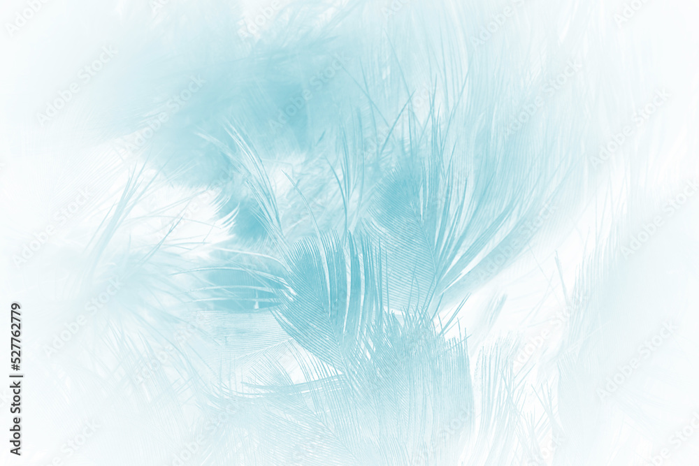 Beautiful pastel blue turquoise color trends feather pattern texture background Beautiful pastel blue turquoise color trends feather pattern texture background