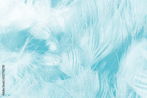 Beautiful blue turquoise vintage color trends feather pattern texture pastel background © nadtytok28