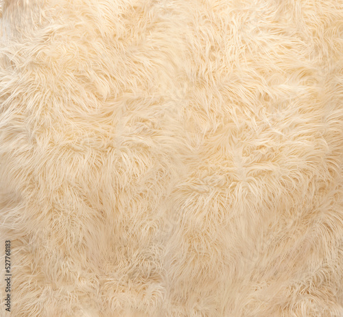 Close up of beige color fur backgraound texture