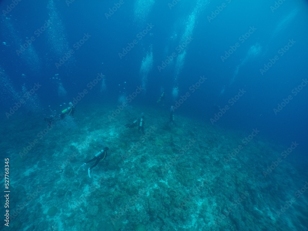 Scuba diving at Blue corner in Palau. Diving on the reefs of the Palau archipelago.