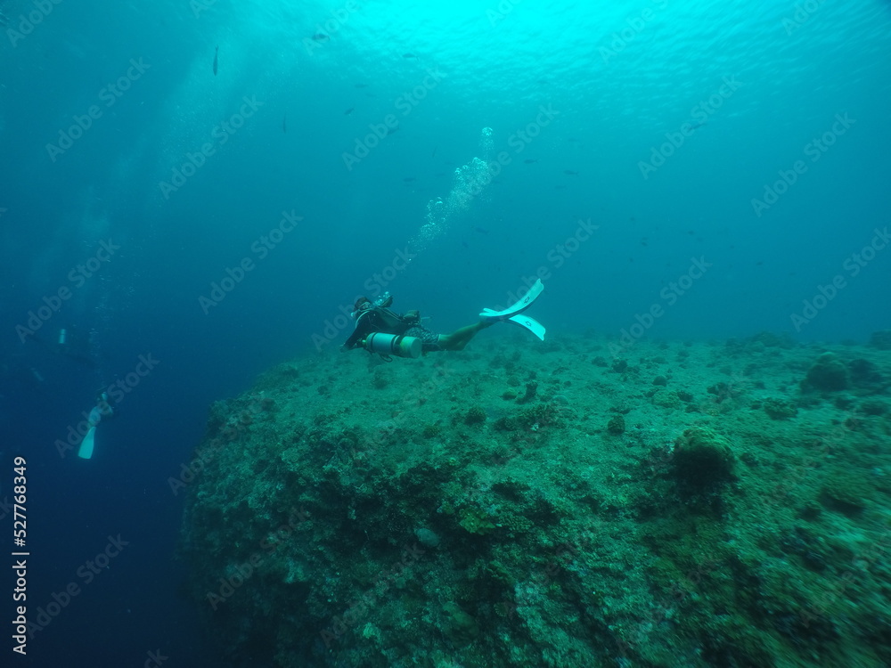 Scuba diving at Blue corner in Palau. Diving on the reefs of the Palau archipelago.