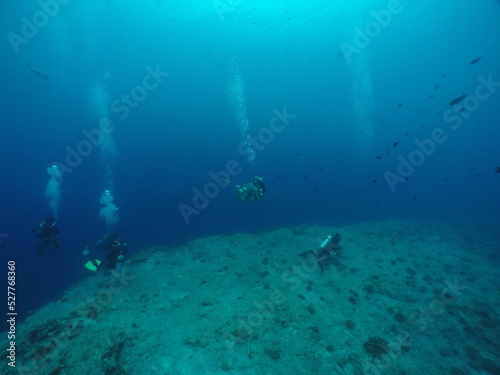 Scuba diving at Blue corner in Palau. Diving on the reefs of the Palau archipelago.