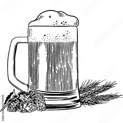 Beer Glass Mug with Foam Hand drawn Illustration