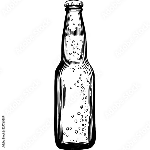Hand drawn Beer Bottle Sketch Illustration