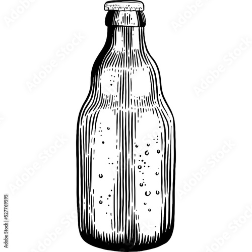 Hand drawn Beer Bottle Sketch Illustration