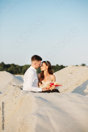 Amazing newlyweds hugging, sitting on the sand against the background of the forest. © Yuliia