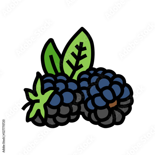 ripe blackberry leaf color icon vector. ripe blackberry leaf sign. isolated symbol illustration