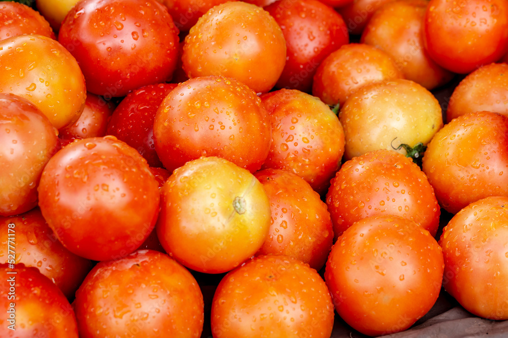 Group of tomatoes with water droplets on the surface Group of tomatoes with water droplets on the surface