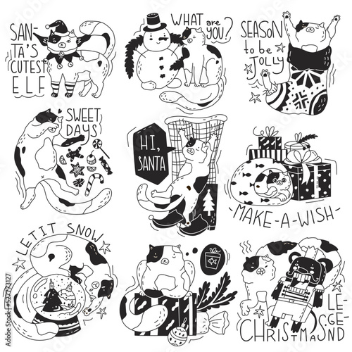 Set of compositions with a cute Christmas cat. Original quotes. New year sticker with funny cat. Greeting card for holiday party. Flat style in vector illustration. Isolated on white background.