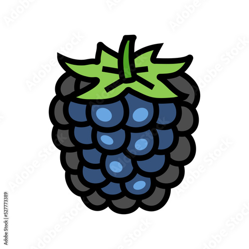 ripe blackberry color icon vector. ripe blackberry sign. isolated symbol illustration